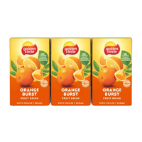 Golden Circle Orange Burst Fruit Drink 250ml x 24